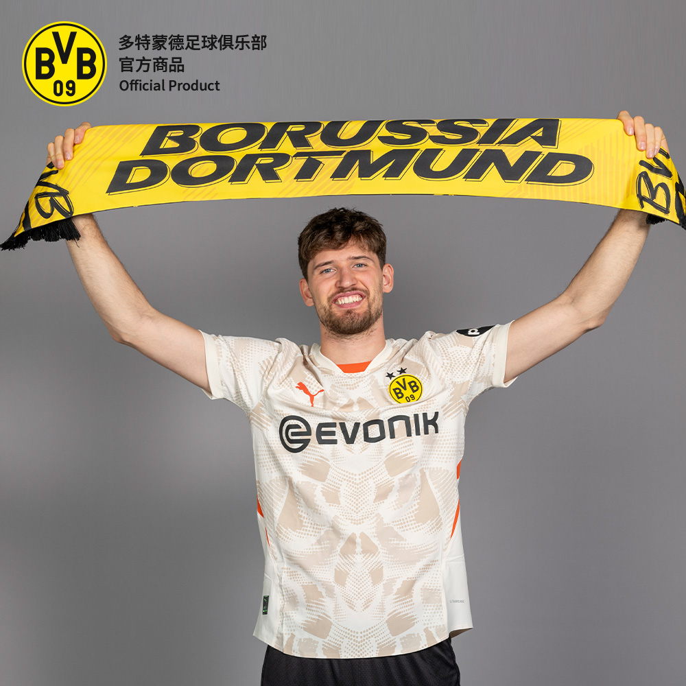 多特蒙德俱乐部助威围巾球迷