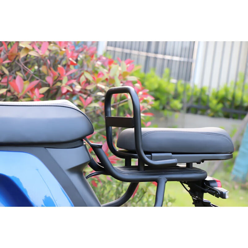 适用于电动车后座扶手U1C/U1D/US/G2/F2/U+B无损安装儿童扶手