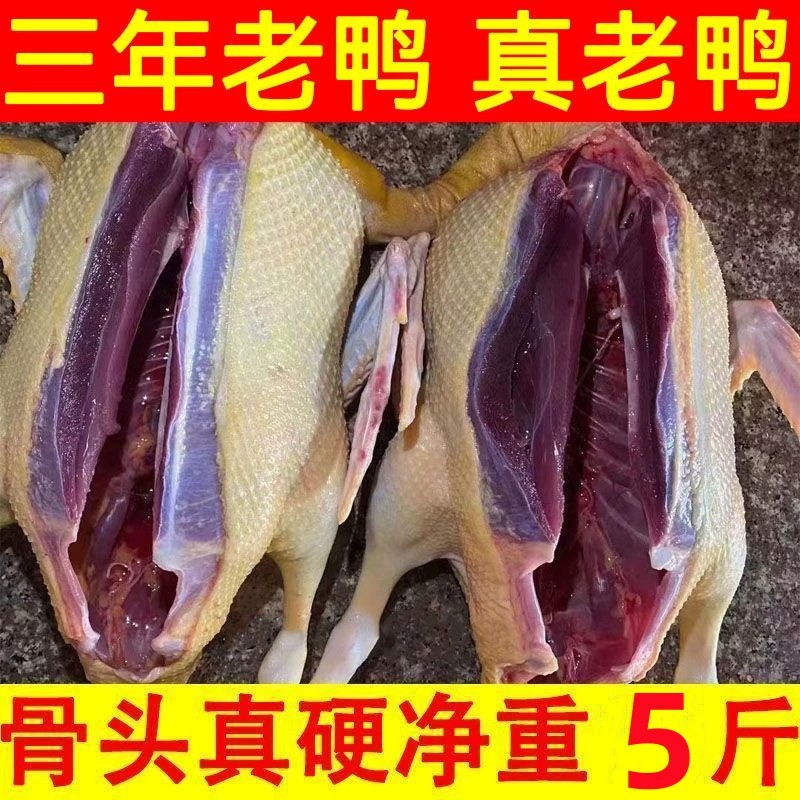 【三年老鸭】散养老鸭麻鸭土鸭子鸭肉/鸭肉制品