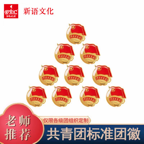 共青团团徽团员正版标准团徽
