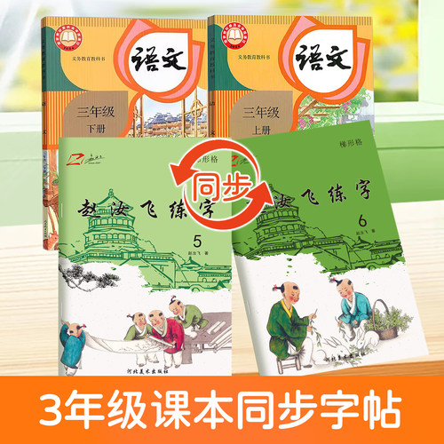 赵汝飞练字三年级上下册同步字帖