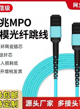电信级MPO-MPO光纤跳线万兆多模8芯12芯集束尾纤MPO转MPO/MT/MTP/LC 40G/100G机房专用光模块数据中心回路器
