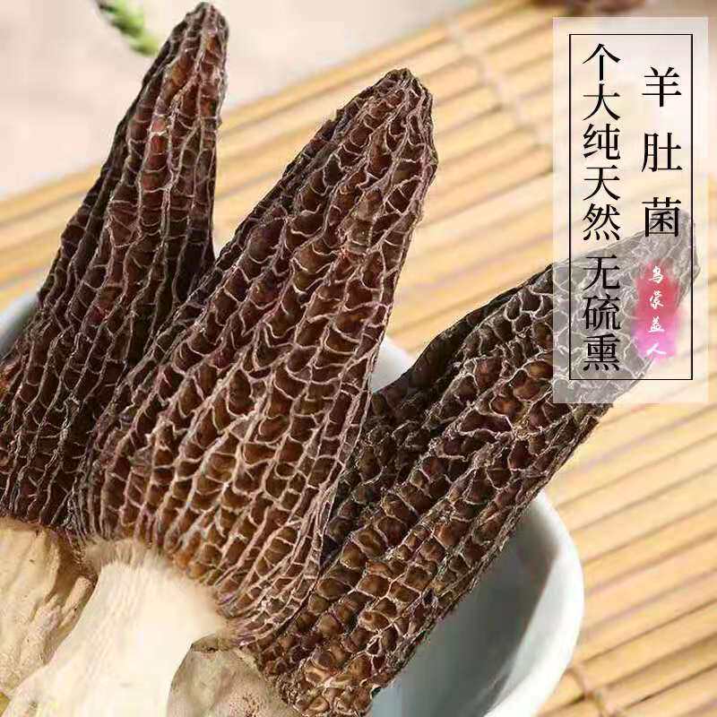 羊肚菌5a级干货500g精选大个头贵州高原农家地方特产食用菌新货
