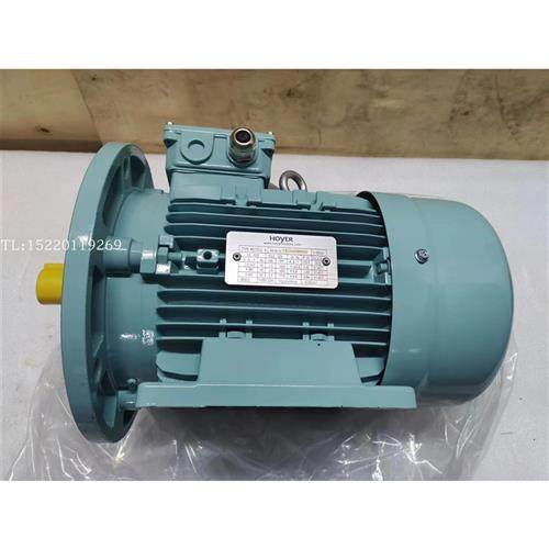 议价现货供应丹麦HOYER电机MS100L2-4 3KW 船用立卧式霍尔电机