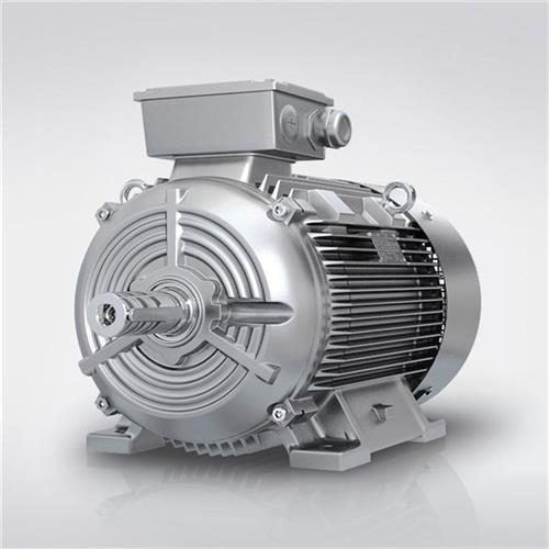 议价产品电机1LE0001/1LE0002/1LE0003/1LE0004-1AC42-1AA4 1NA