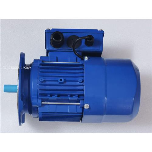 议价REXMAC刹车电机RA100LB4 3KW 台湾进口升降机减速马达RJ100LB