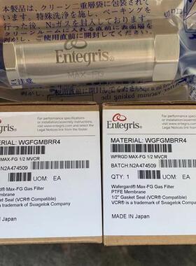 议价美国Entegris英特格应特格 过滤器WG2FT1SS2全新现货