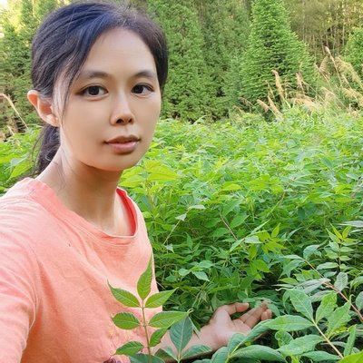 剥皮药材黄柏苗皮厚皮黄老品种