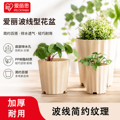 爱丽思仿陶瓷树脂控根三角梅花盆