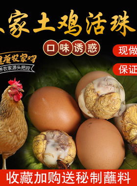 40枚活珠子新鲜13天鸡胚蛋开袋即食五香钢化蛋开袋即食熟食旺蛋