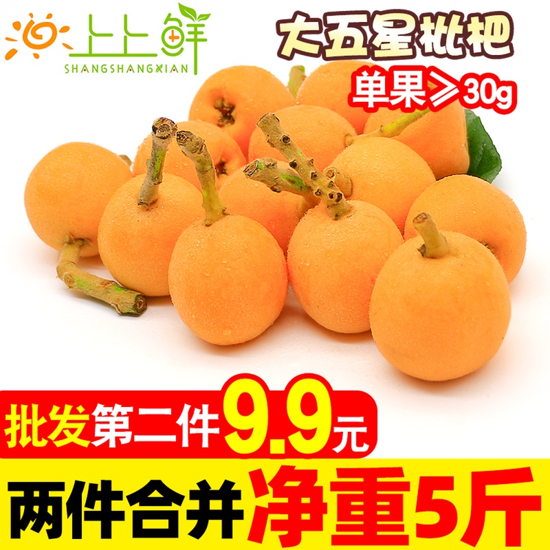 上上鲜 四川枇杷果3斤新鲜水果琵琶中果包邮批发当季攀枝花米易