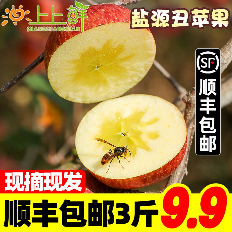 四川盐源丑苹果冰糖心苹果凉山新鲜孕妇水果脆甜当季红富士整箱10