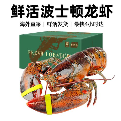 【限量补贴】全国10仓发货 海外直采鲜活到家波士顿龙虾