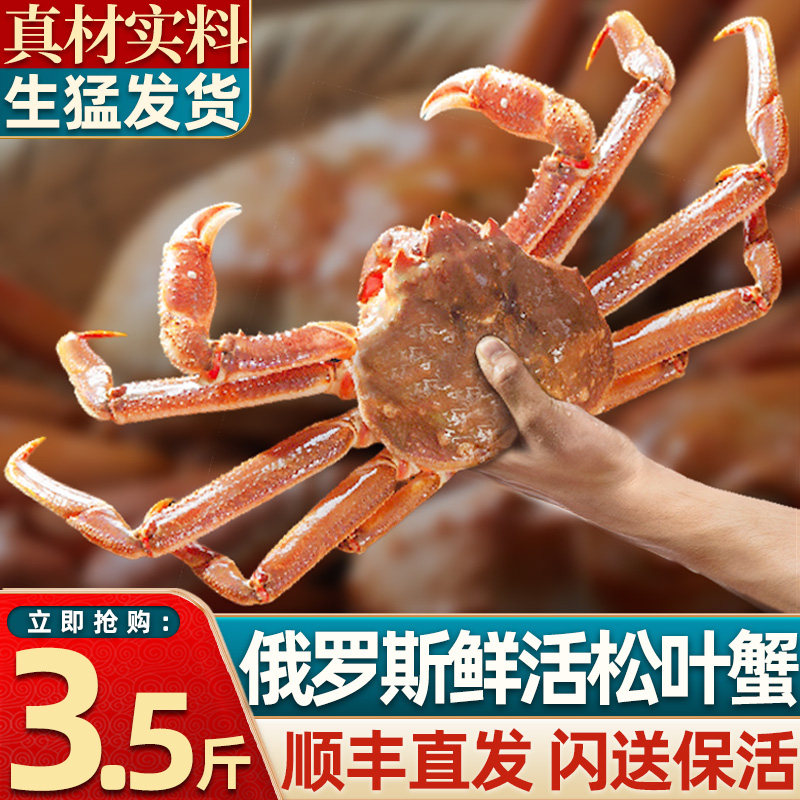 【活发】俄罗斯松叶蟹鲜活雪蟹长脚蟹板蟹海鲜水产帝王蟹新鲜螃蟹