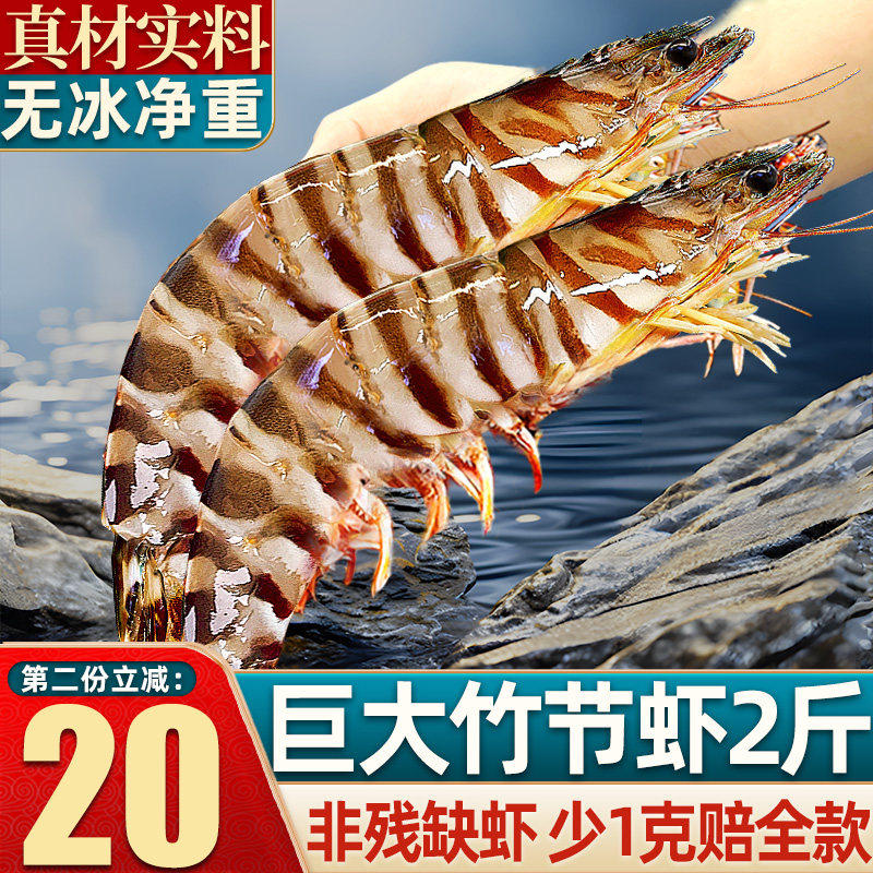 九节虾斑节虾竹节虾鲜活黑虎虾速冻海鲜基围虾特大超大鲜水产海虾