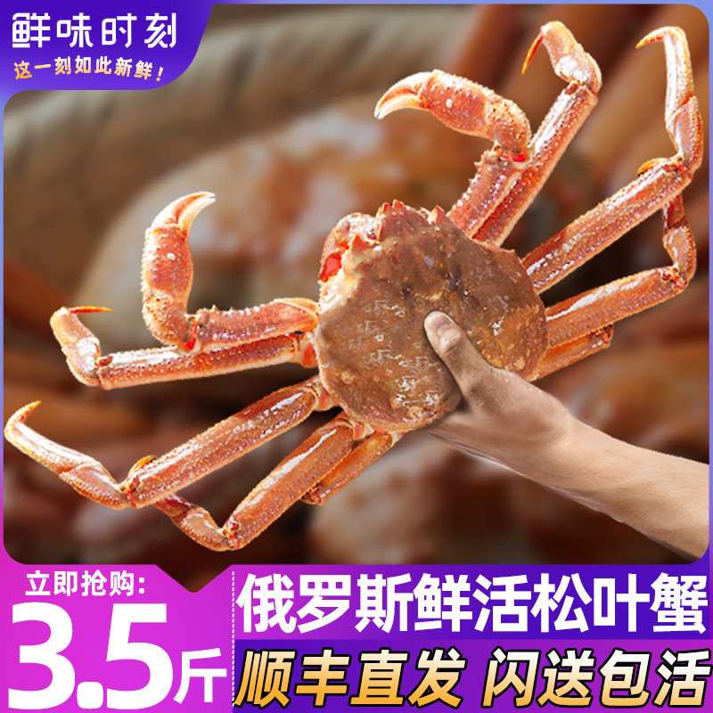 【活发】俄罗斯松叶蟹鲜活雪蟹长脚蟹板蟹海鲜水产帝王蟹新鲜螃蟹