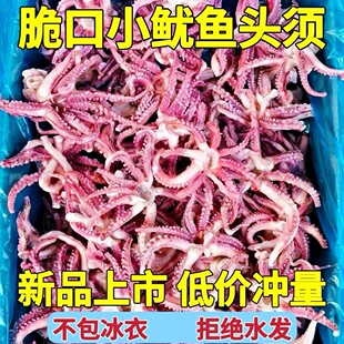 小鱿鱼须新鲜冷冻整个鱿鱼头小八爪须净重无冰衣烧烤炒菜火锅食材