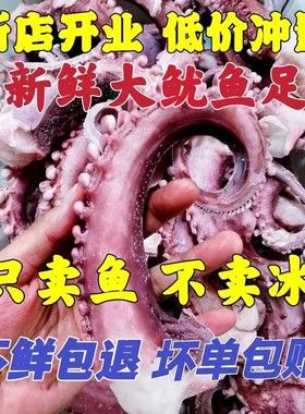 特大脆口章鱼足章鱼须鱿鱼须新鲜冷冻无冰衣章鱼小丸子食材烧烤串