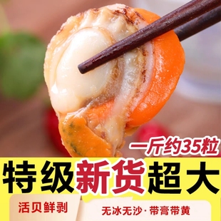新鲜冷冻超大个扇贝肉皇冠贝海鲜长岛北城红贝烧烤蒜蓉粉丝扇贝肉