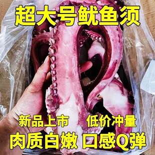 超大号鱿鱼须特大章鱼足大脆口鱿鱼须超大八爪鱼章鱼须章鱼小丸子