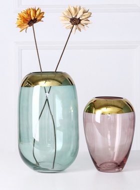简约现代创意玻璃花瓶描金水培插花瓶北欧客厅餐桌家居装饰品