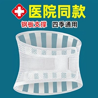 Медицинское поясное пояснение повреждение подноса подчеркивает поясничные позвонки