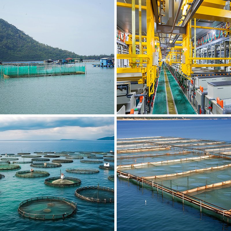 水产工厂养殖水产直播背景布3d立体壁纸画直播间场景布置高级感网红