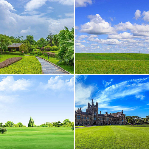 大草原蒙古直播背景布草地