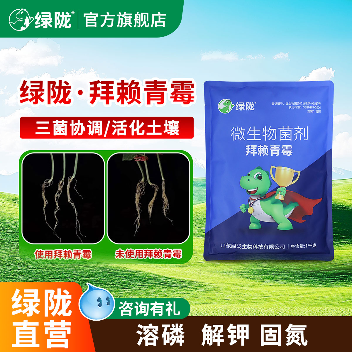 绿陇拜赖青霉菌多粘巨大芽孢杆菌