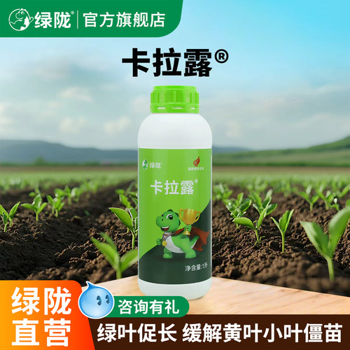 绿陇卡拉露SH水提苗绿叶促进生根