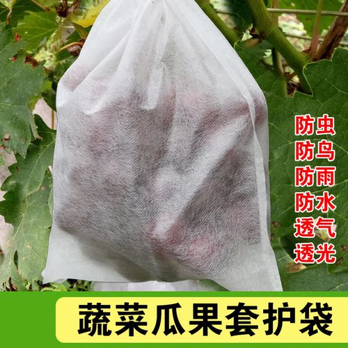 无纺布自带抽绳防虫防鸟防雨葡萄套袋水果网袋蔬菜透光透气护套袋