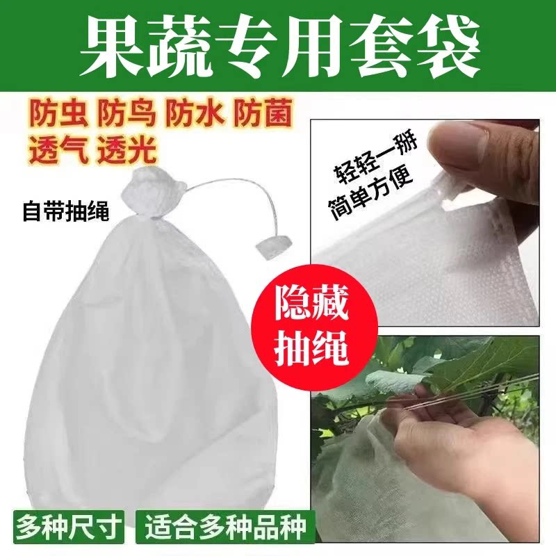 无纺布水果套袋葡萄袋防鸟防虫防水专用水果袋育苗套袋抽拉绳套袋