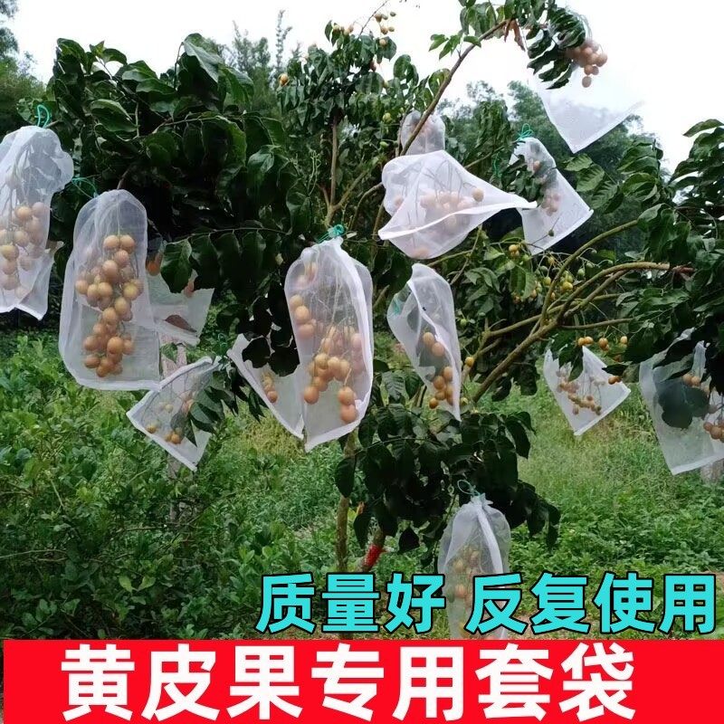黄皮果套袋专用袋龙眼百香果杏子爪果葫芦瓜茄子蓝莓杨梅桂圆防鸟