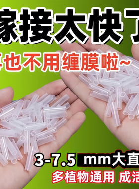 果树枝条连接3-7.5mm多规格软管植物嫁接套管新手种植园艺入门工