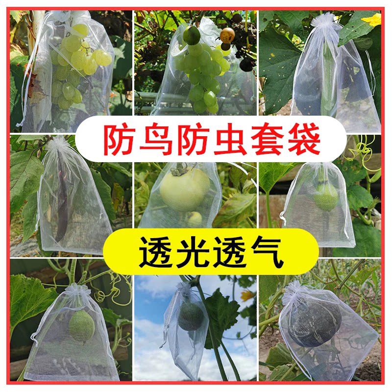 水果套袋防鸟网纱袋防虫专用袋