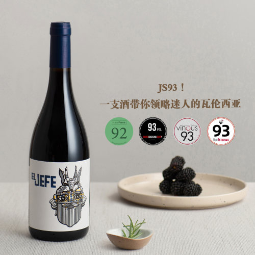 JS93带你领略迷人的瓦伦西亚干红