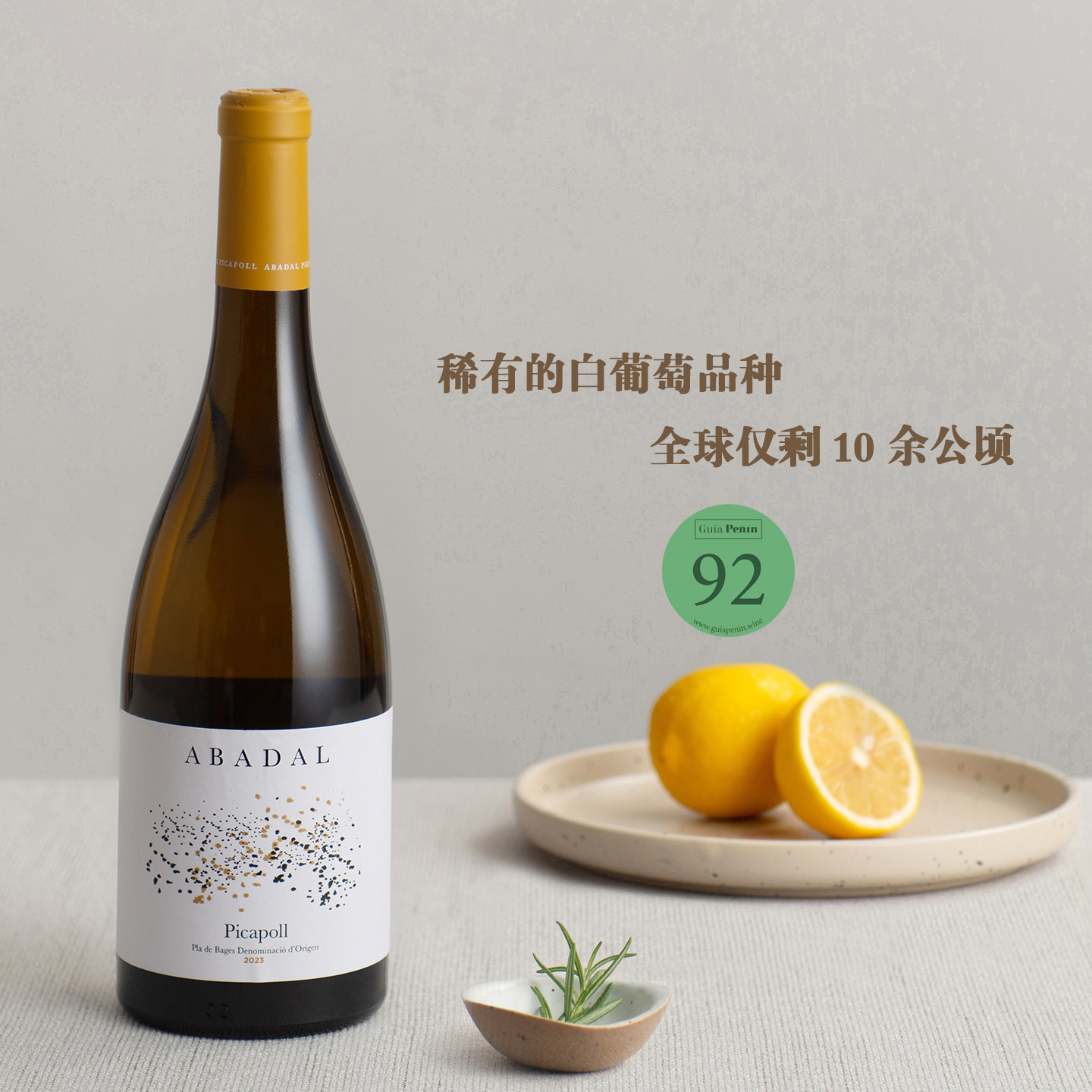 全球仅10公顷，极小众的宝藏品种！西班牙Picapoll单酿干白葡萄酒