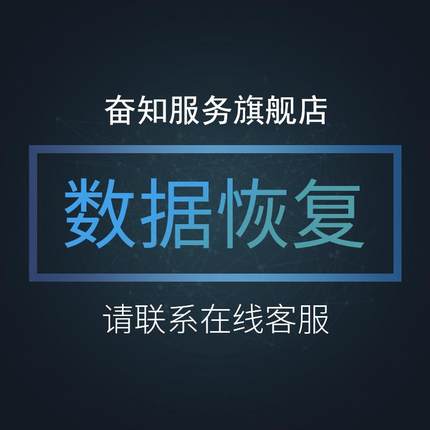 电脑U盘内存sd卡照片文件数据恢复软件移动修复硬盘远程维修服务
