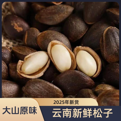 2025年新货云南薄壳落水松子原味四道筛选饱满颗粒清甜清香