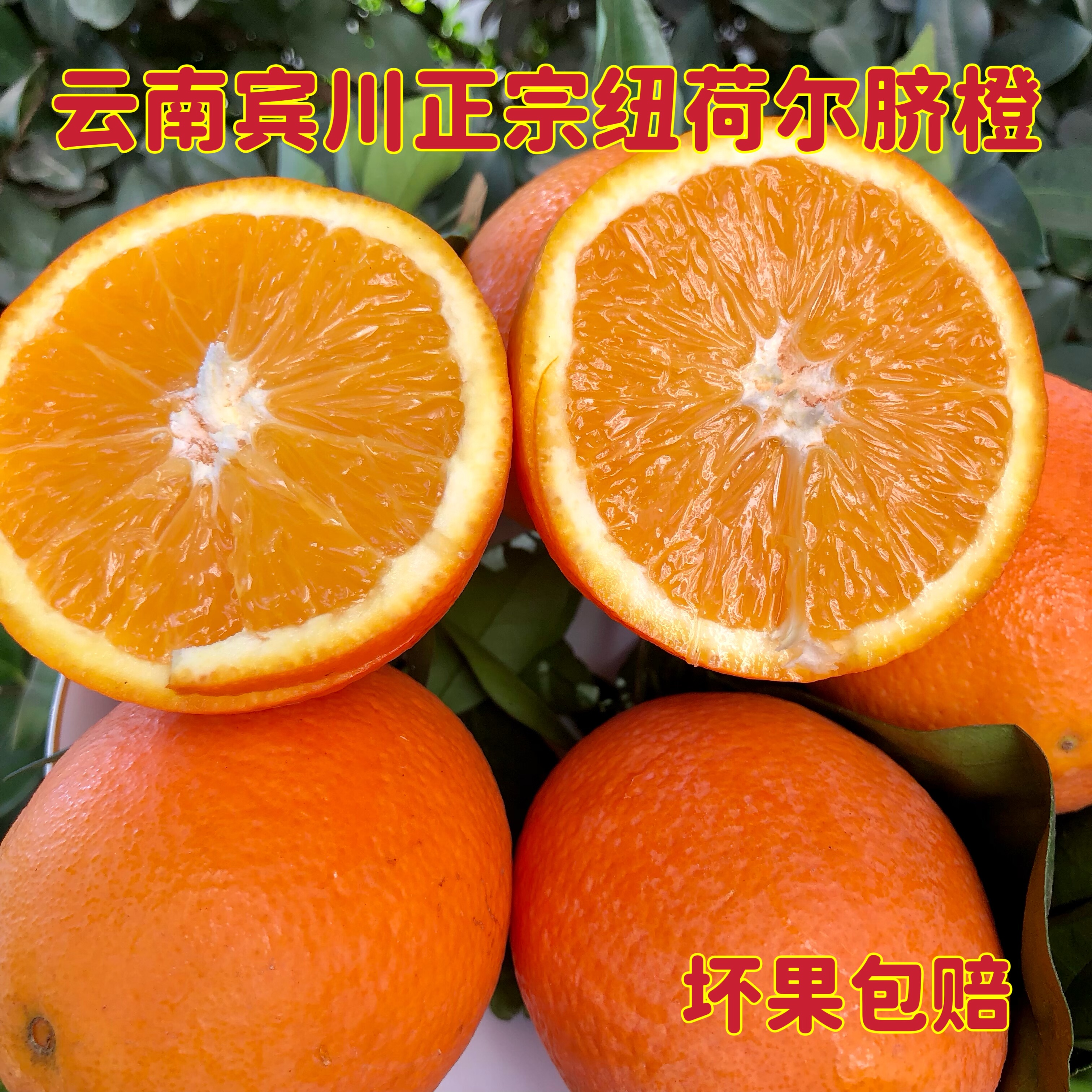 正宗云南宾川纽荷尔当季新鲜孕妇水果中果现摘现发整箱10斤