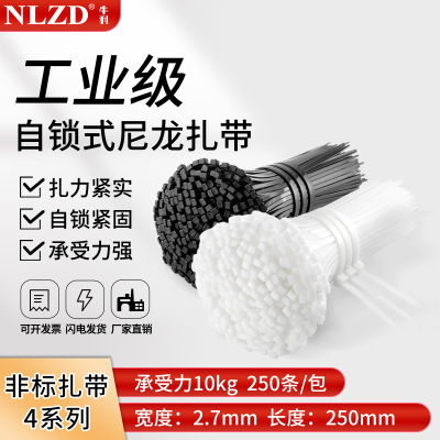 NLZD尼龙扎带自锁卡扣黑白色扎带
