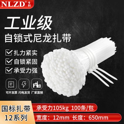 NLZD尼龙扎带自锁式卡扣白色扎带