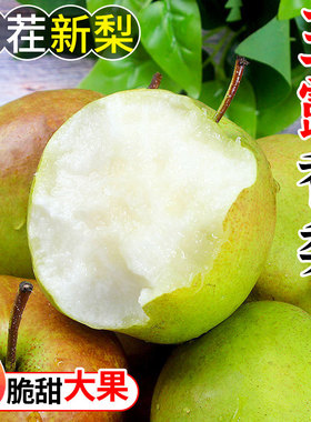 山西玉露香梨梨子新鲜水果当季整箱10应季脆甜雪酥梨包邮5