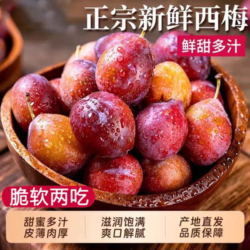 正宗红西梅！口感超越蓝莓