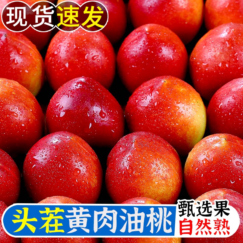 黄心油桃新鲜水果应季大桃子当季水密桃孕妇蜜脆桃整箱包邮10