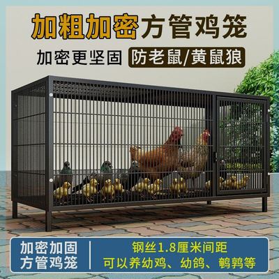 养鸡笼家用鸡笼子养殖笼家用铁笼子鸡舍家用蛋鸡笼特大号包邮