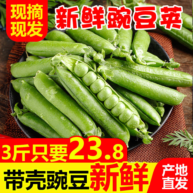 豌豆荚新鲜3斤农家蔬菜带壳云南贵州毛豆四季豆青豆蚕荷兰甜豆角5|msdalam kategori daging perikanan/Buah-buahan segar dan sayur-sayuran/dimasak, sayur-sayuran segar/Vegetable Products, sayur-sayuran segar, 新鲜豆类 - dari Buy2taobao.com untuk memberikan perkhidmatan ejen Taobao profesional membeli