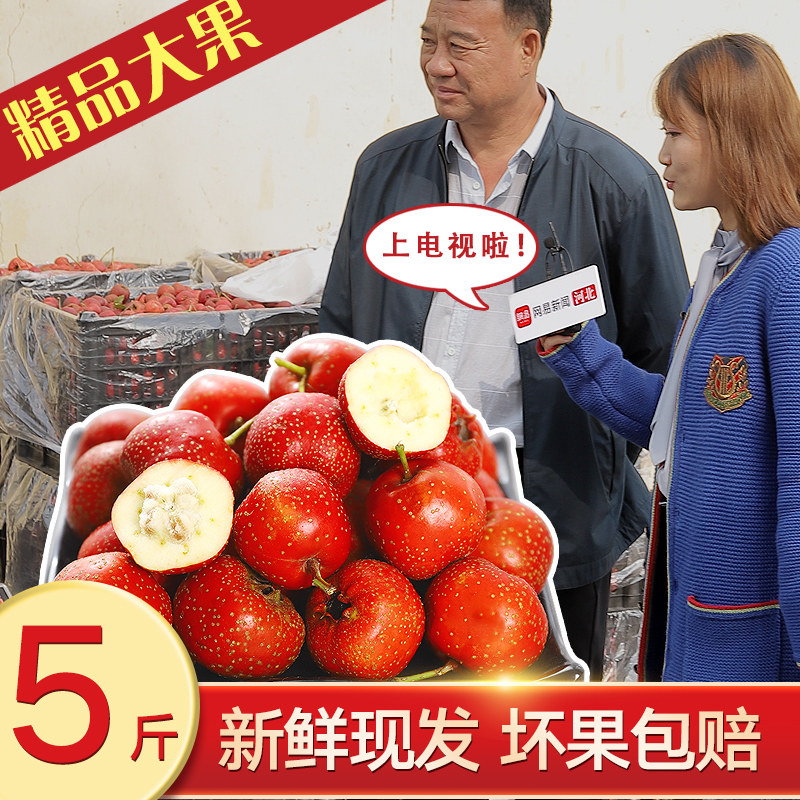 新鲜山楂5斤特级大果山里红果园当季现摘鲜山楂糖葫芦山楂碎干片