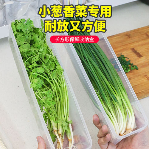 香菜大葱小葱保鲜盒冰箱收纳