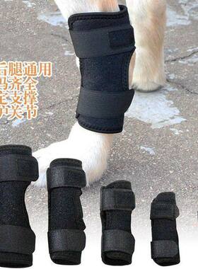 宠物猫狗后腿宠物猫狗后腿